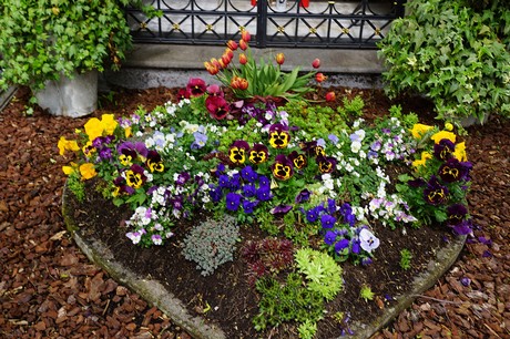 Bad Godesberg